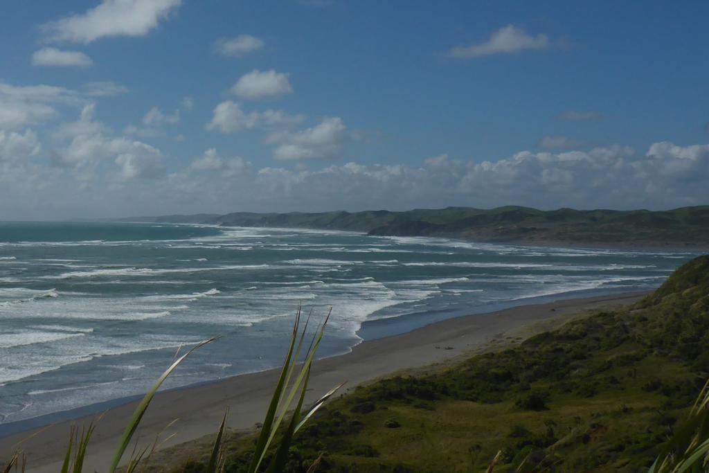 Ocean View Raglan Bed & Breakfast Kültér fotó