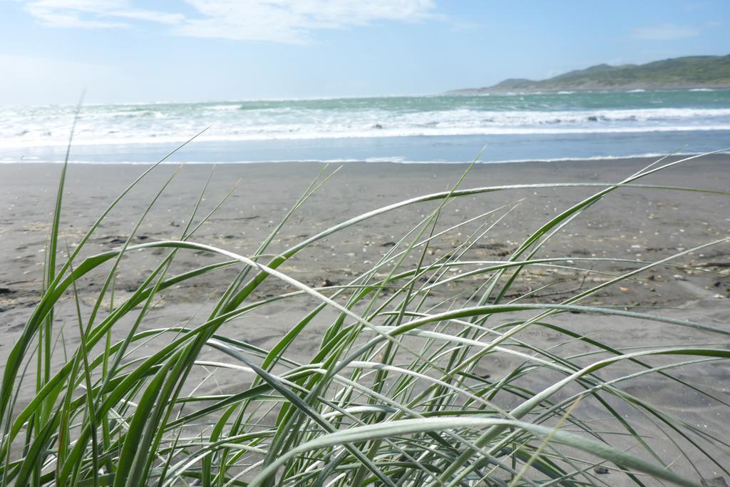 Ocean View Raglan Bed & Breakfast Kültér fotó